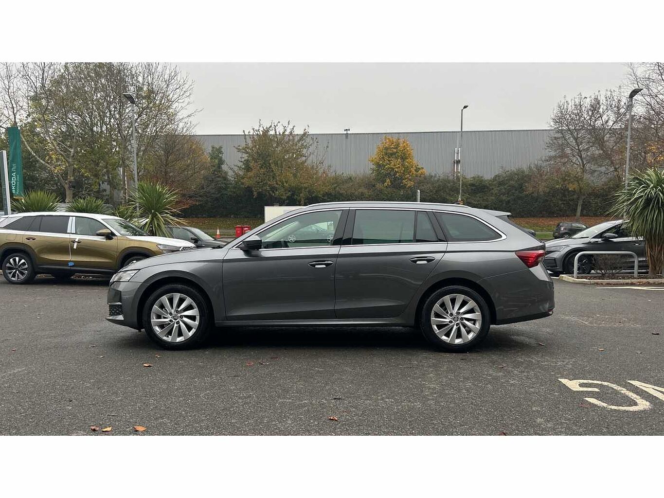 SKODA OCTAVIA Estate First Edition 1.5 TSI 150 PS 6G Man