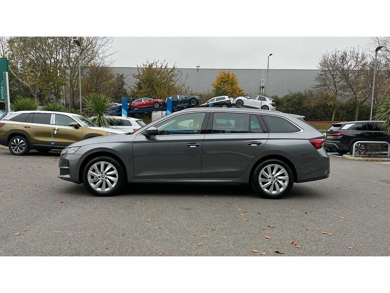 SKODA OCTAVIA Estate First Edition 1.5 TSI 150 PS 6G Man