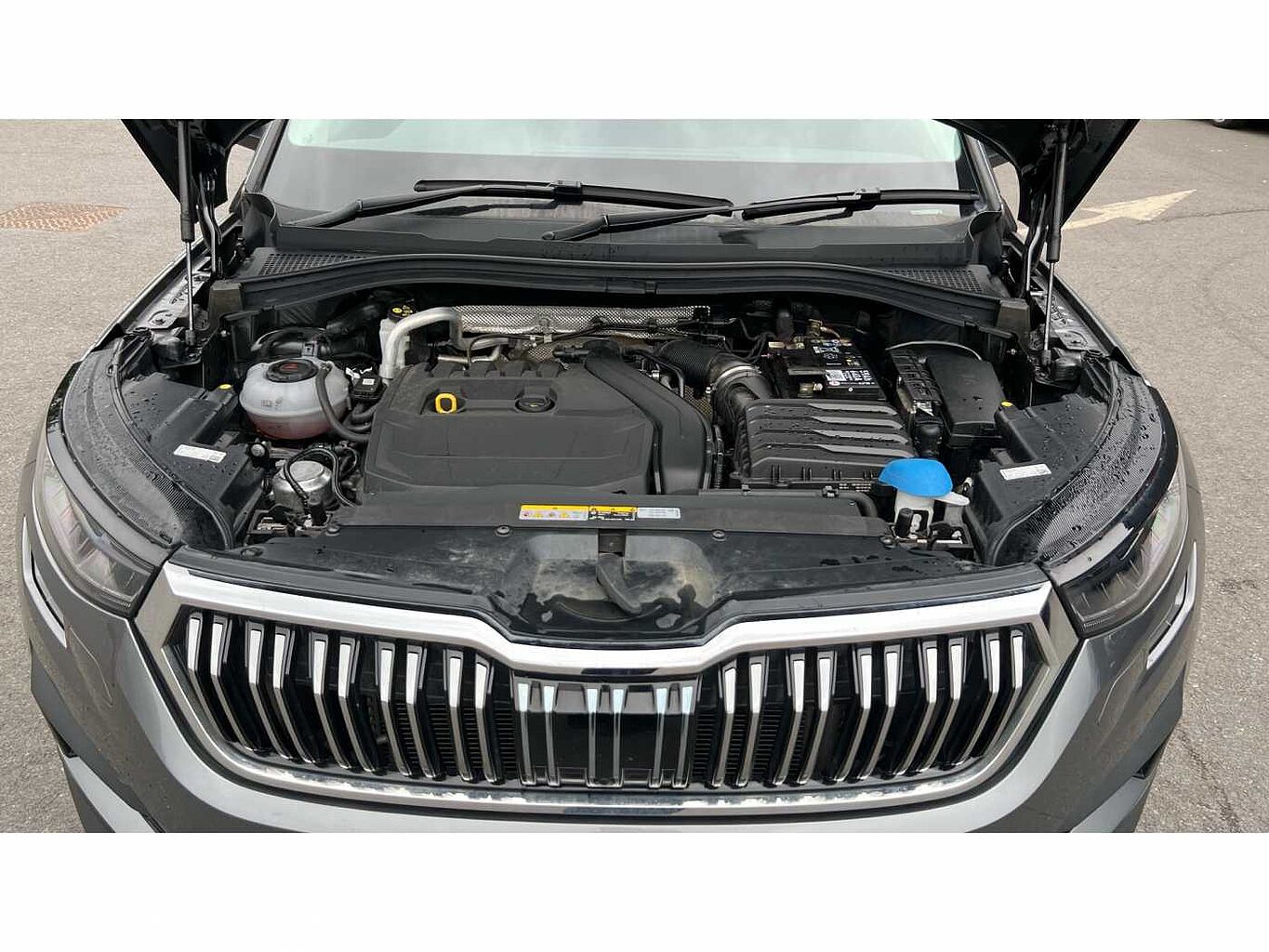 SKODA KODIAQ 1.5 TSI SE L Executive 5dr DSG [7 Seat]